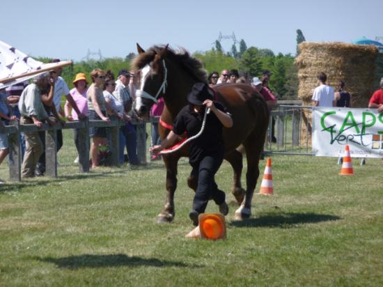 Fête de la Pentecote