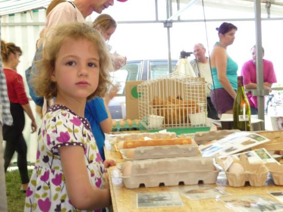 La bourse aux oeufs et aux poussins