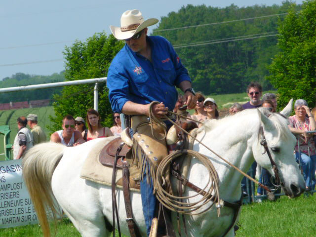 Démonstration de chevaux